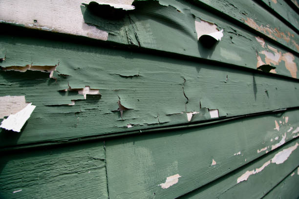 Best Residential Vinyl Siding Installation  in Wakefield, MI