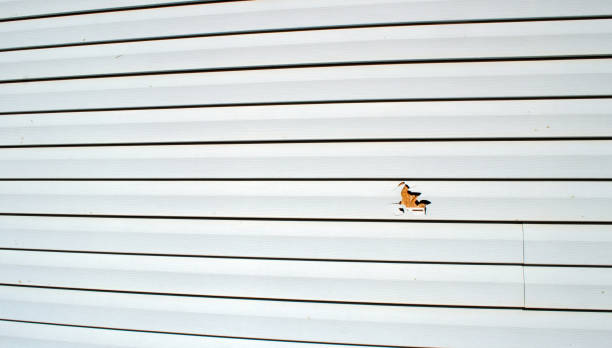 Best Siding Removal and Disposal  in Wakefield, MI